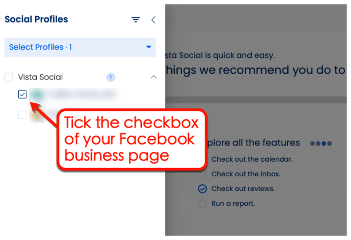 Screenshot of Vista Social's Reviews feature