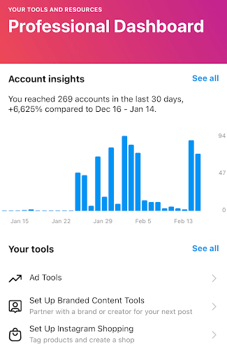 Screenshot of Instagram's Dashboard