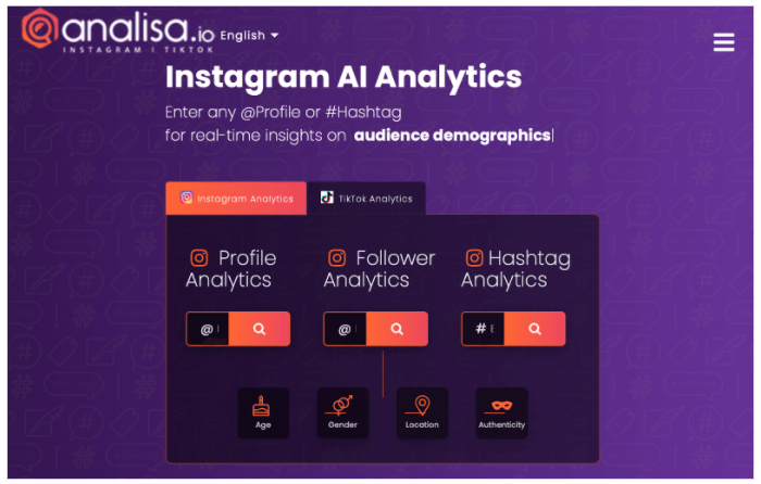 Screenshot of Analisa.io's home page
