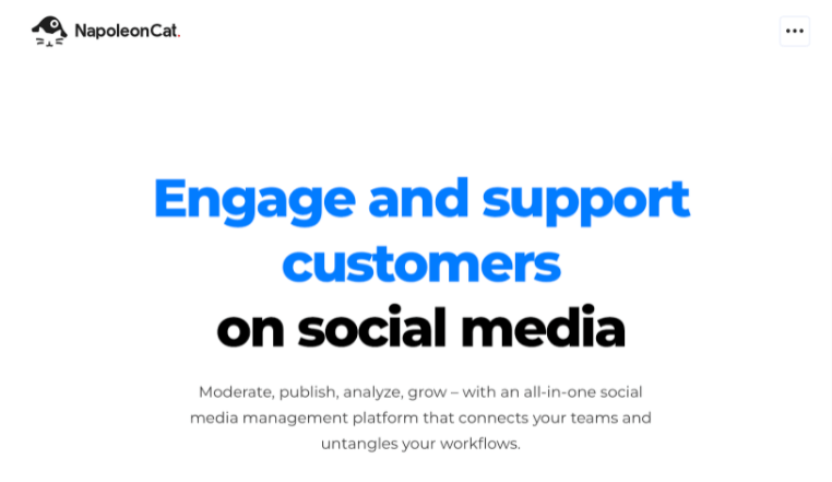 Screenshot of NapoleonCat's home page