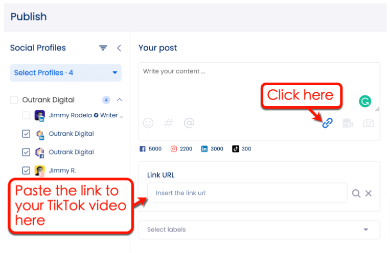 how to get more views on tiktok after posting: Screenshot of Vista Social's Publish tool