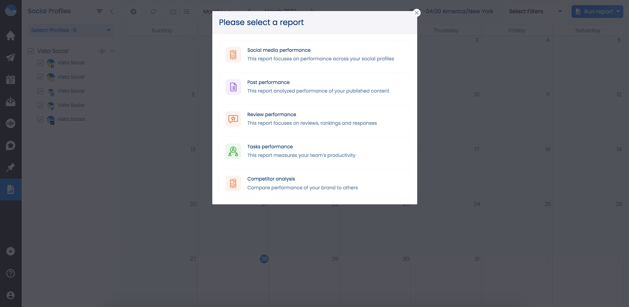 Vista Social Competitor Analysis Report