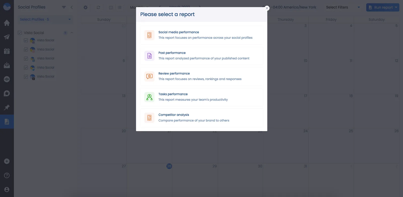 Vista Social Competitor Analysis Report