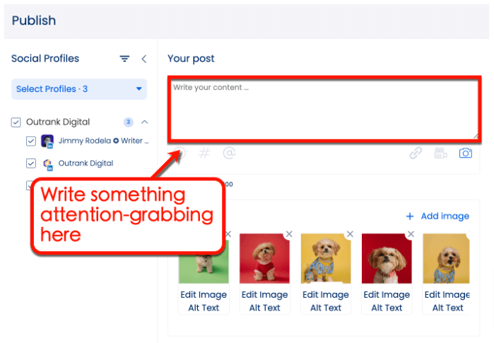 Screenshot if Vista Social's Publishing Tool