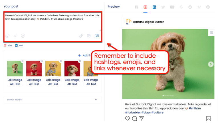 Screenshot if Vista Social posting