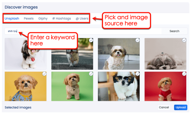 Screenshot if Vista Social's Discover feature