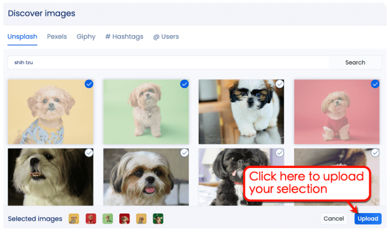 Screenshot if Vista Social's Discover feature