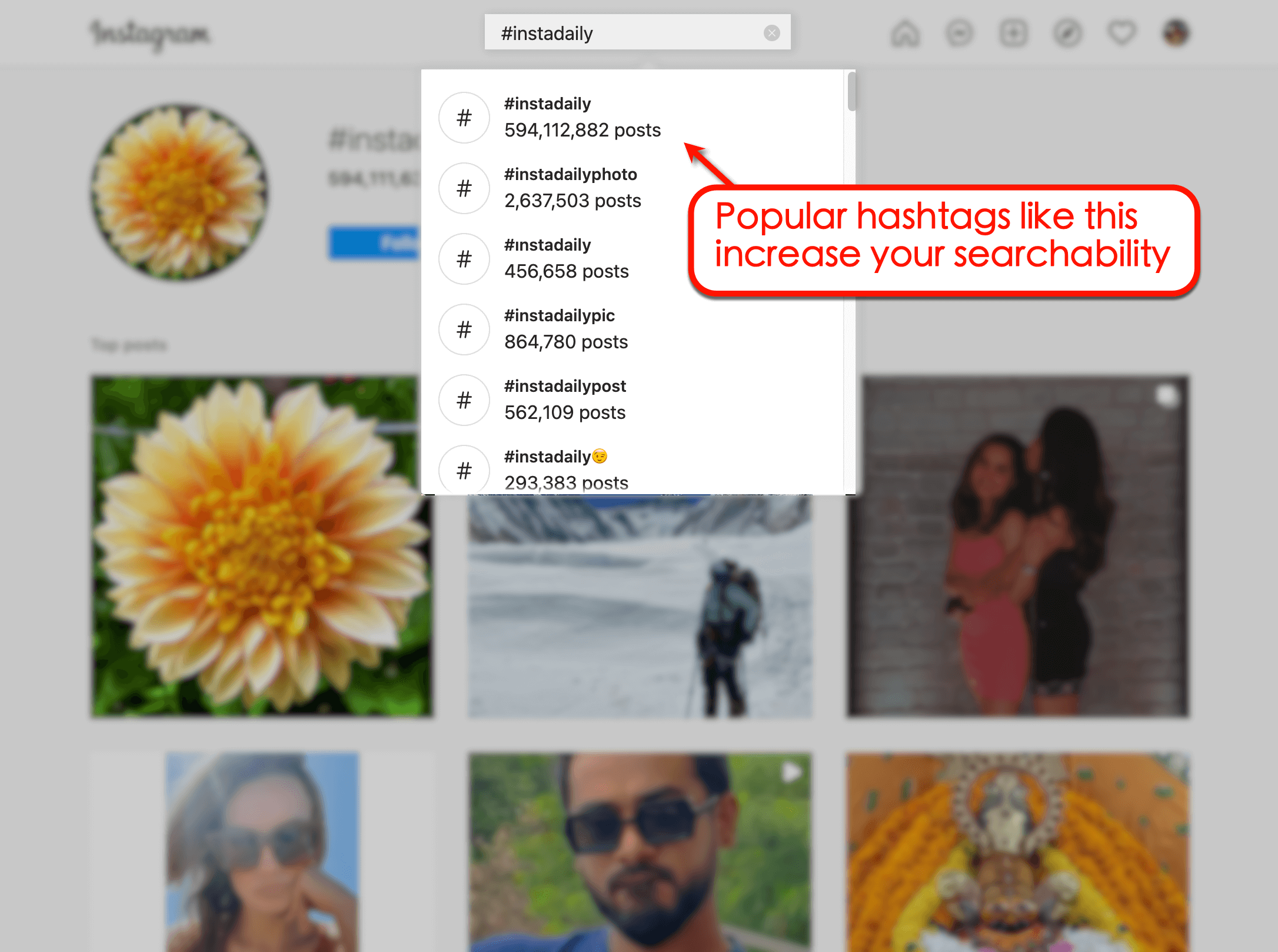 Screenshot of Instagram's Viral Hashtags