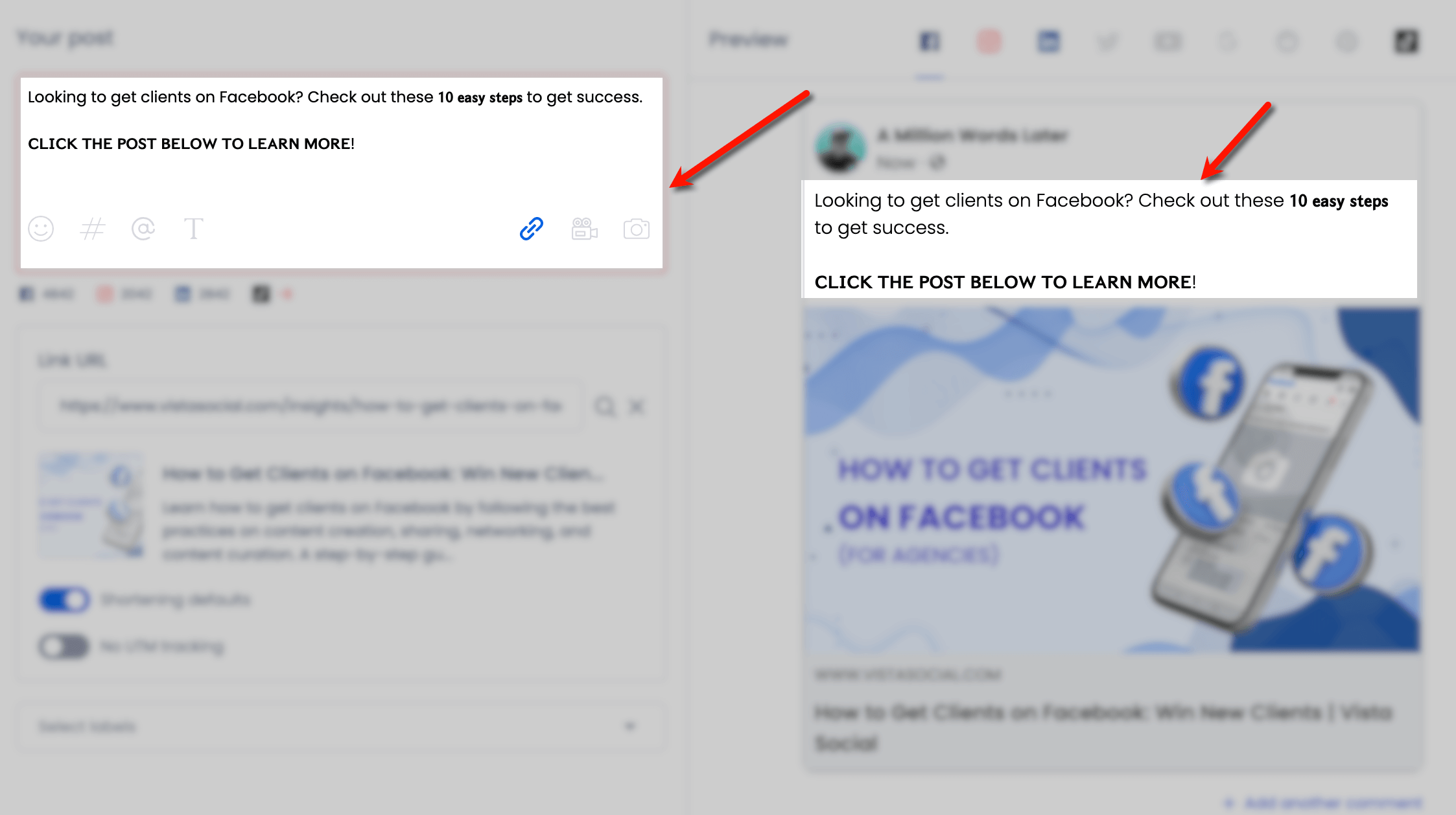 Screenshot of Vista Social's text format post preview