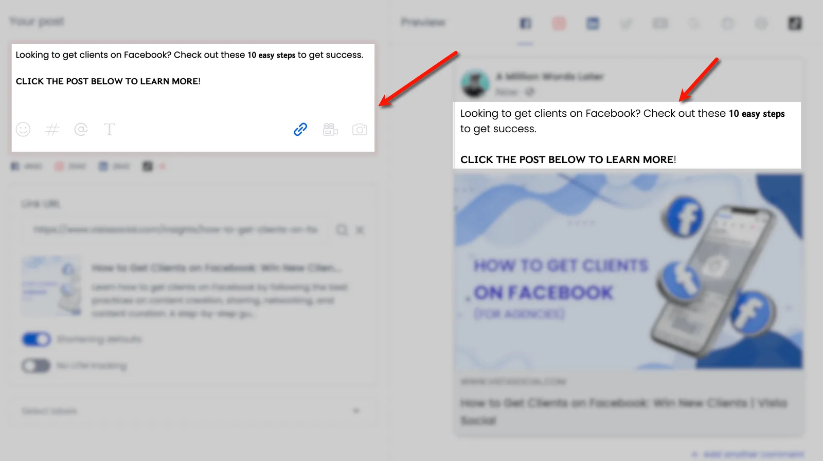 Screenshot of Vista Social's text format post preview