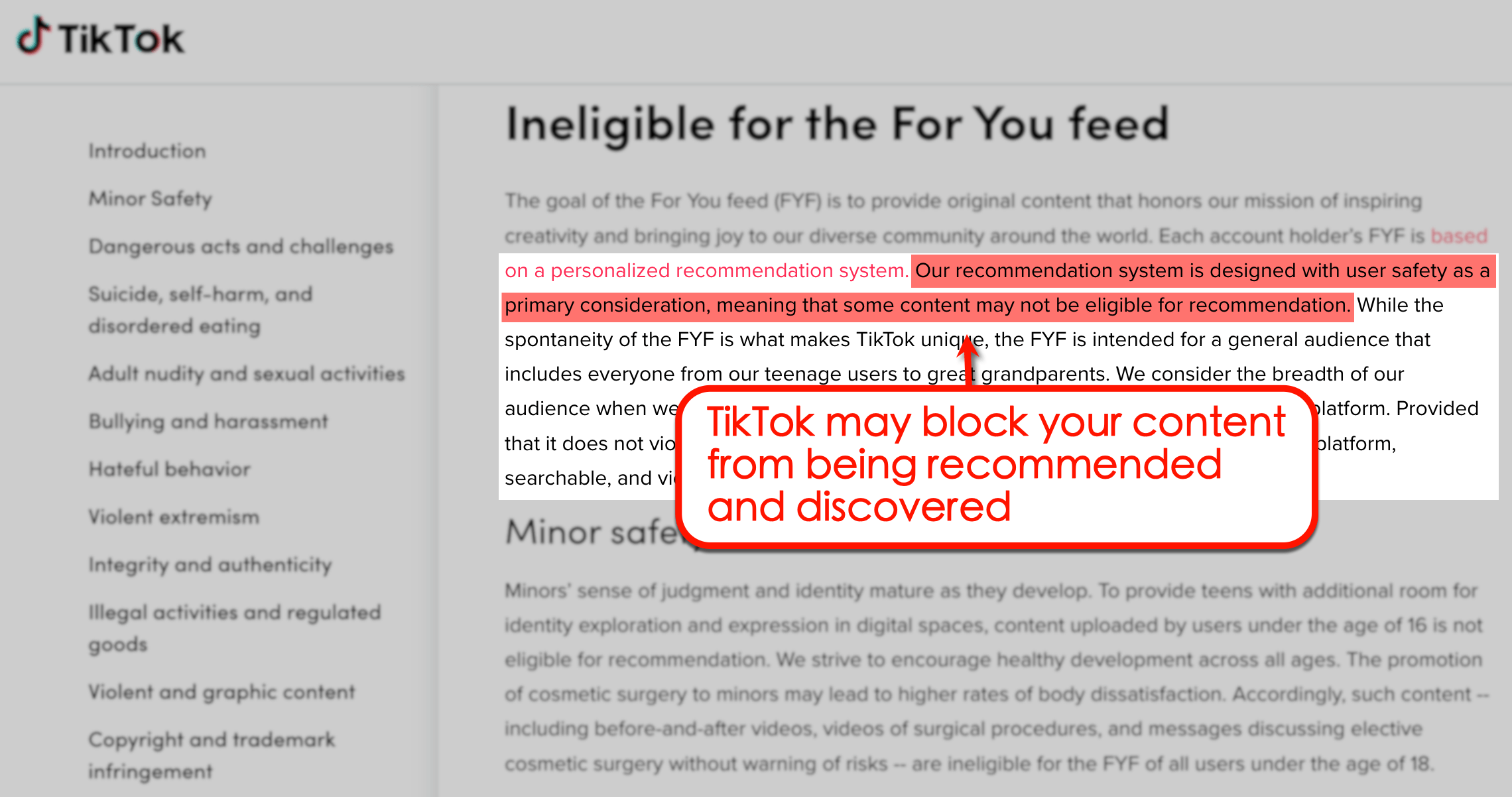 Screenshot of TikTok's community guidelines