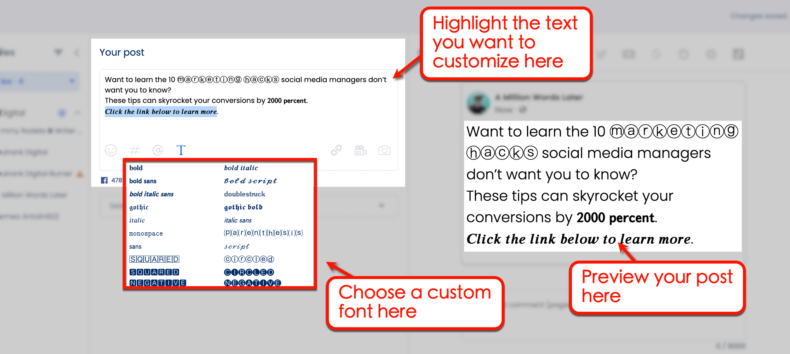 Screenshot of Vista Social's post preview