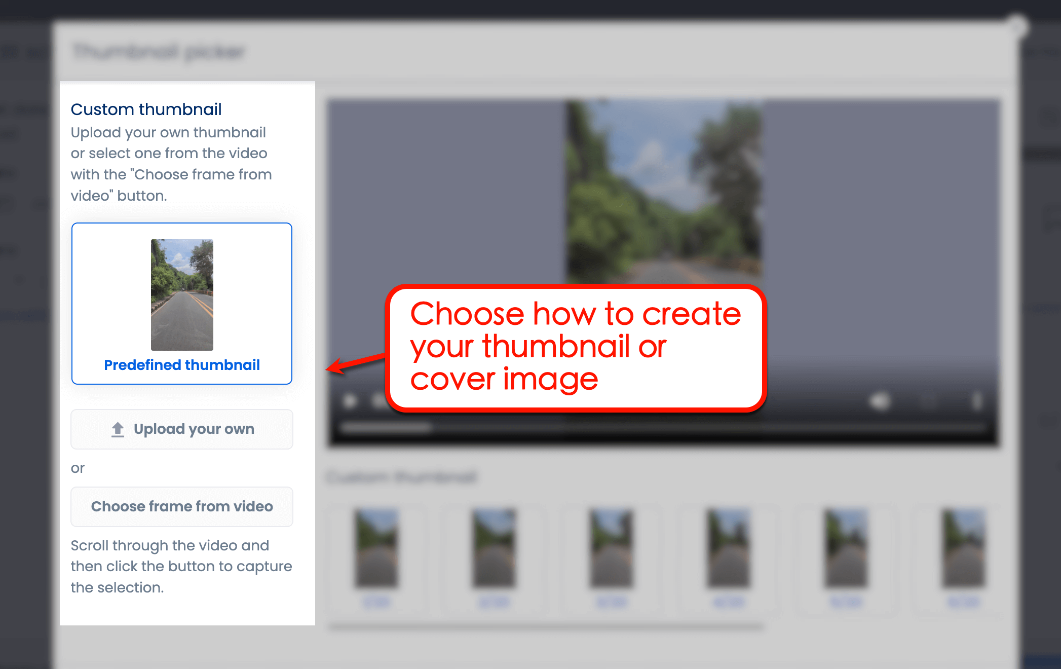 Screenshot of Vista Social's Thumbnail Picker tool