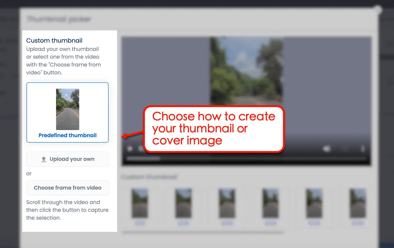 Screenshot of Vista Social's Thumbnail Picker tool