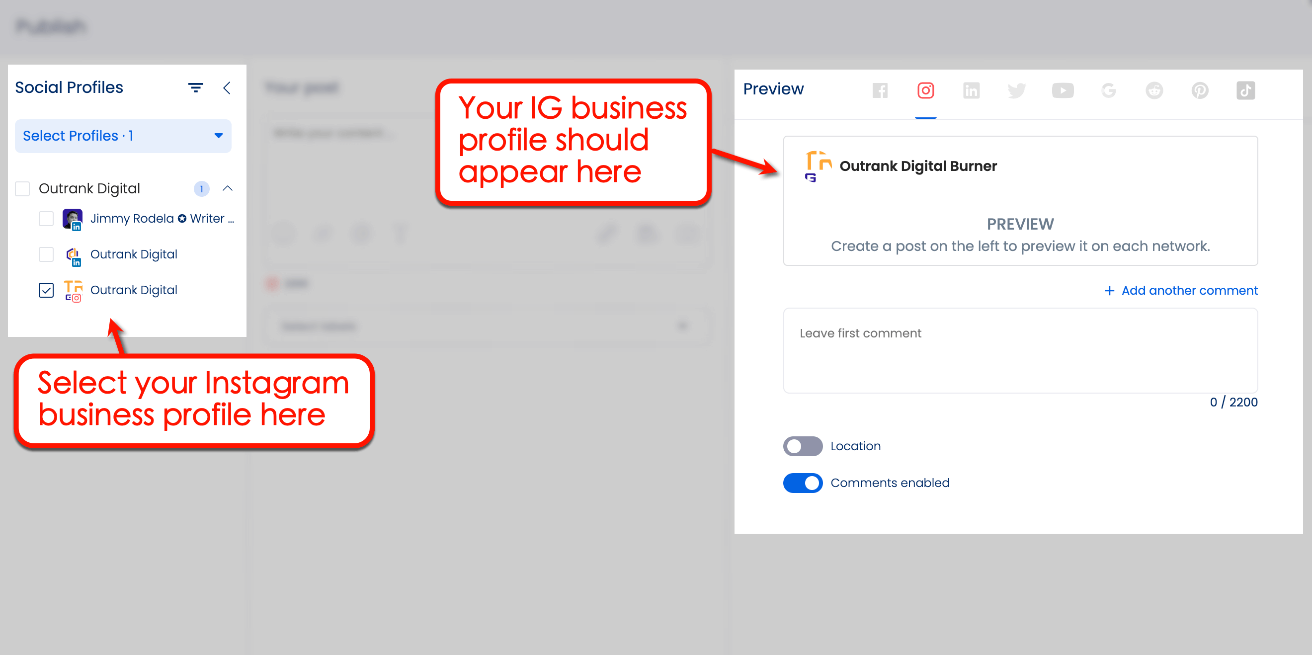 Screenshot of Vista Social's Profile Preview