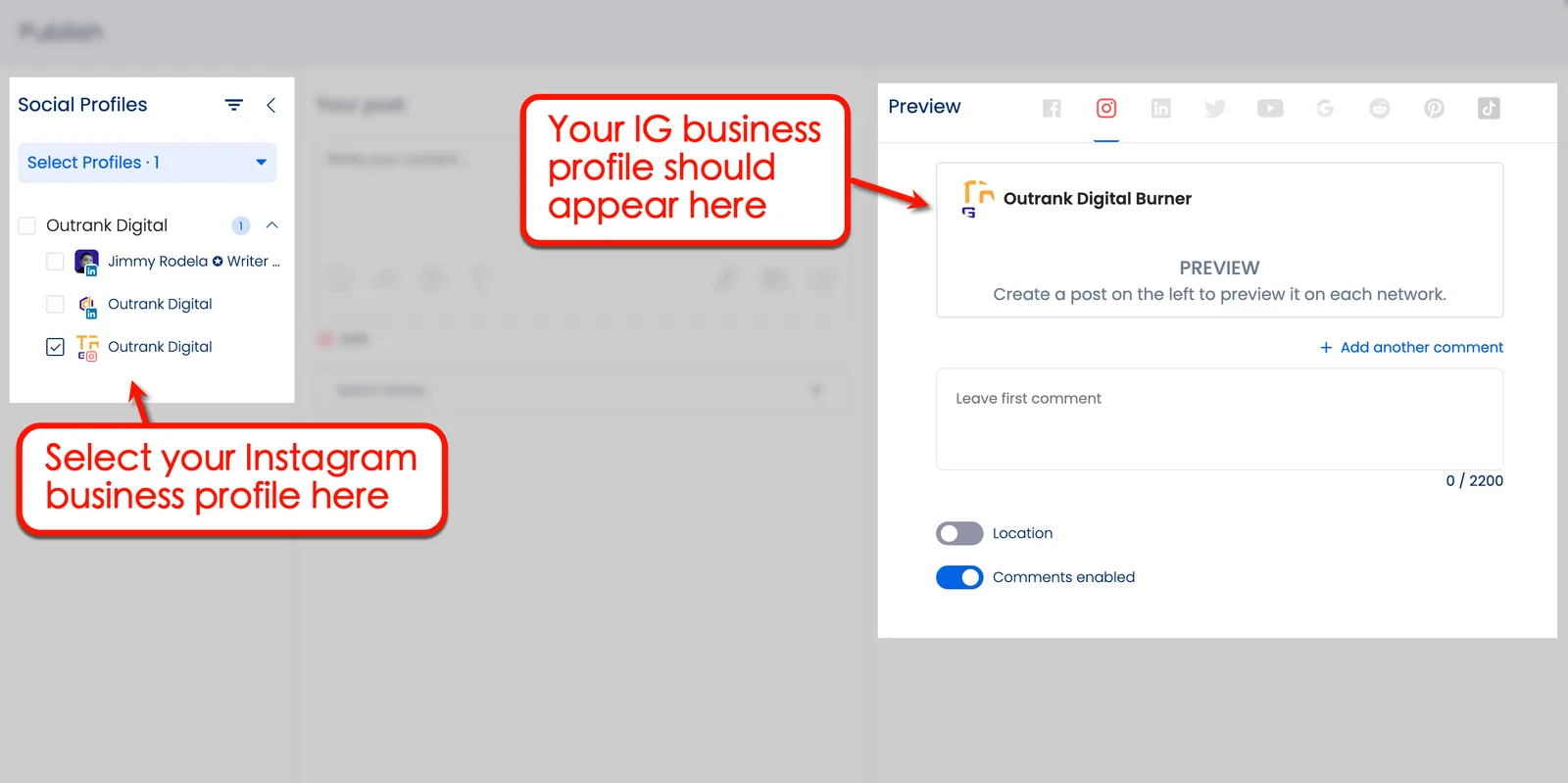 Screenshot of Vista Social's Profile Preview