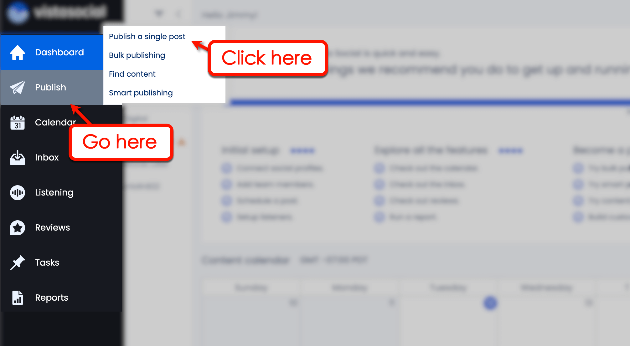 Screenshot of Vista Social's Publish option