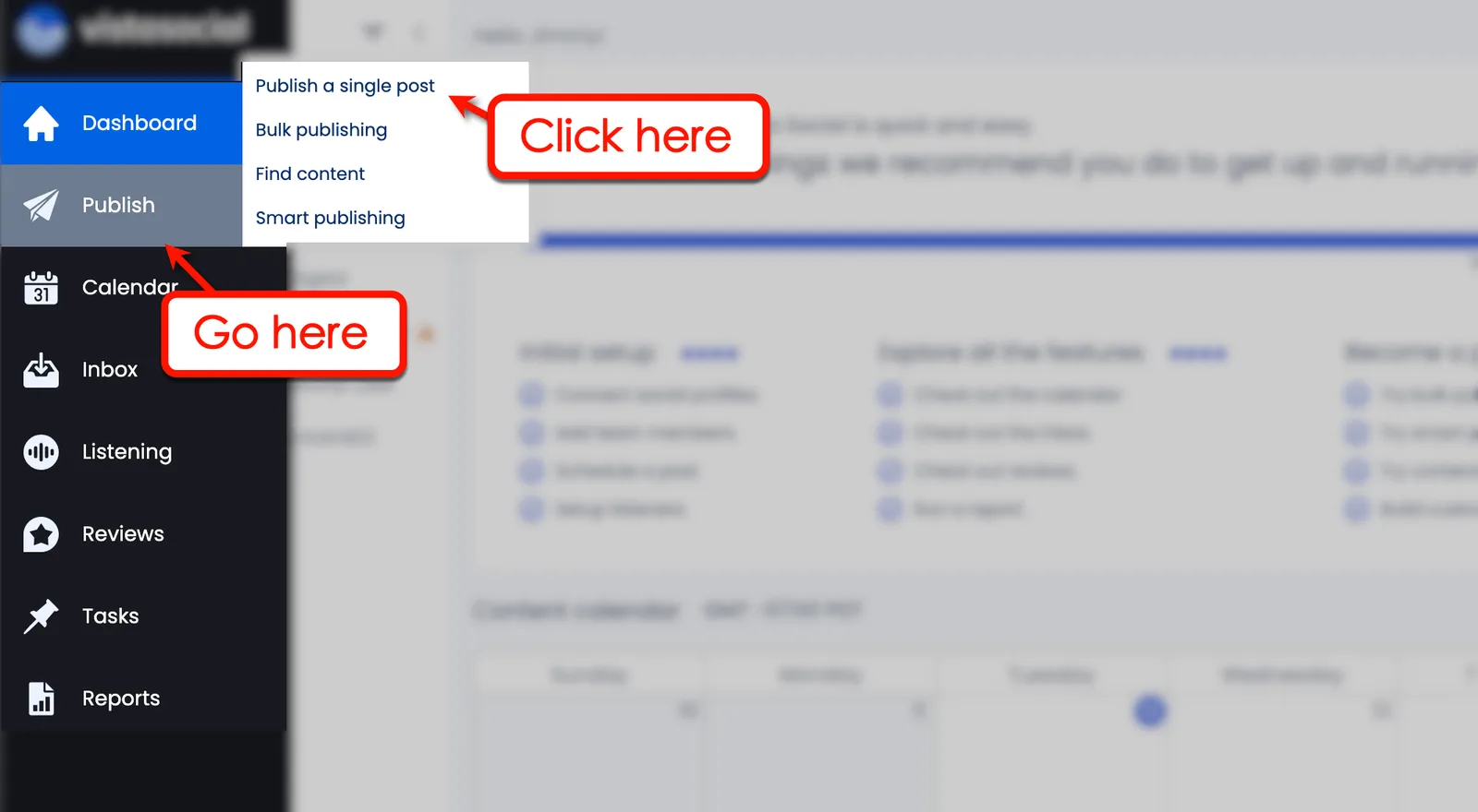 Screenshot of Vista Social's Publish option