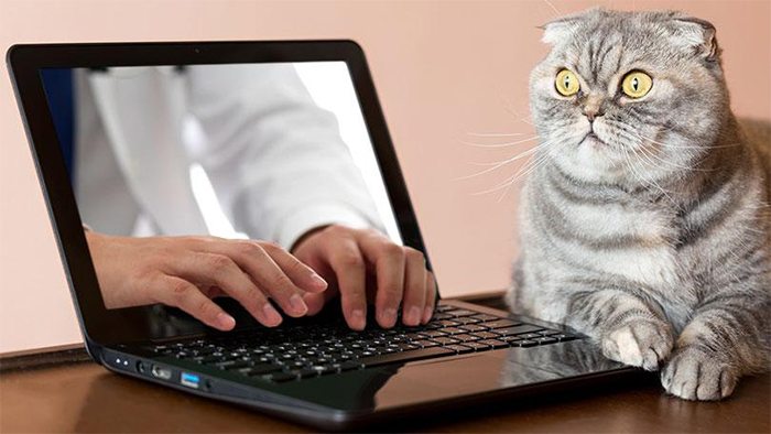 Weird stock photography image | Shutterstock