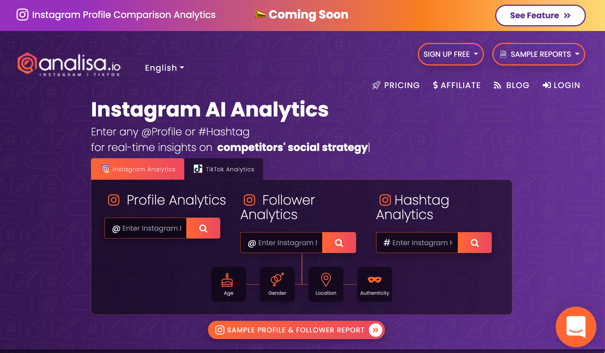 Instagram Marketing Tool: Analisa