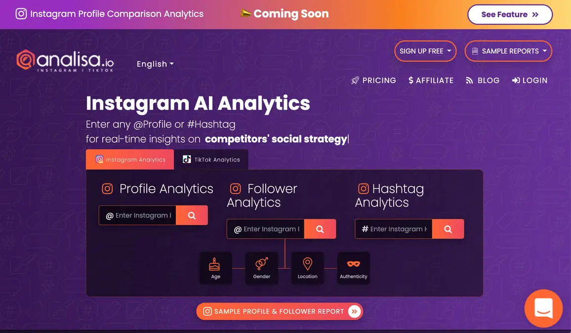 Instagram Marketing Tool: Analisa