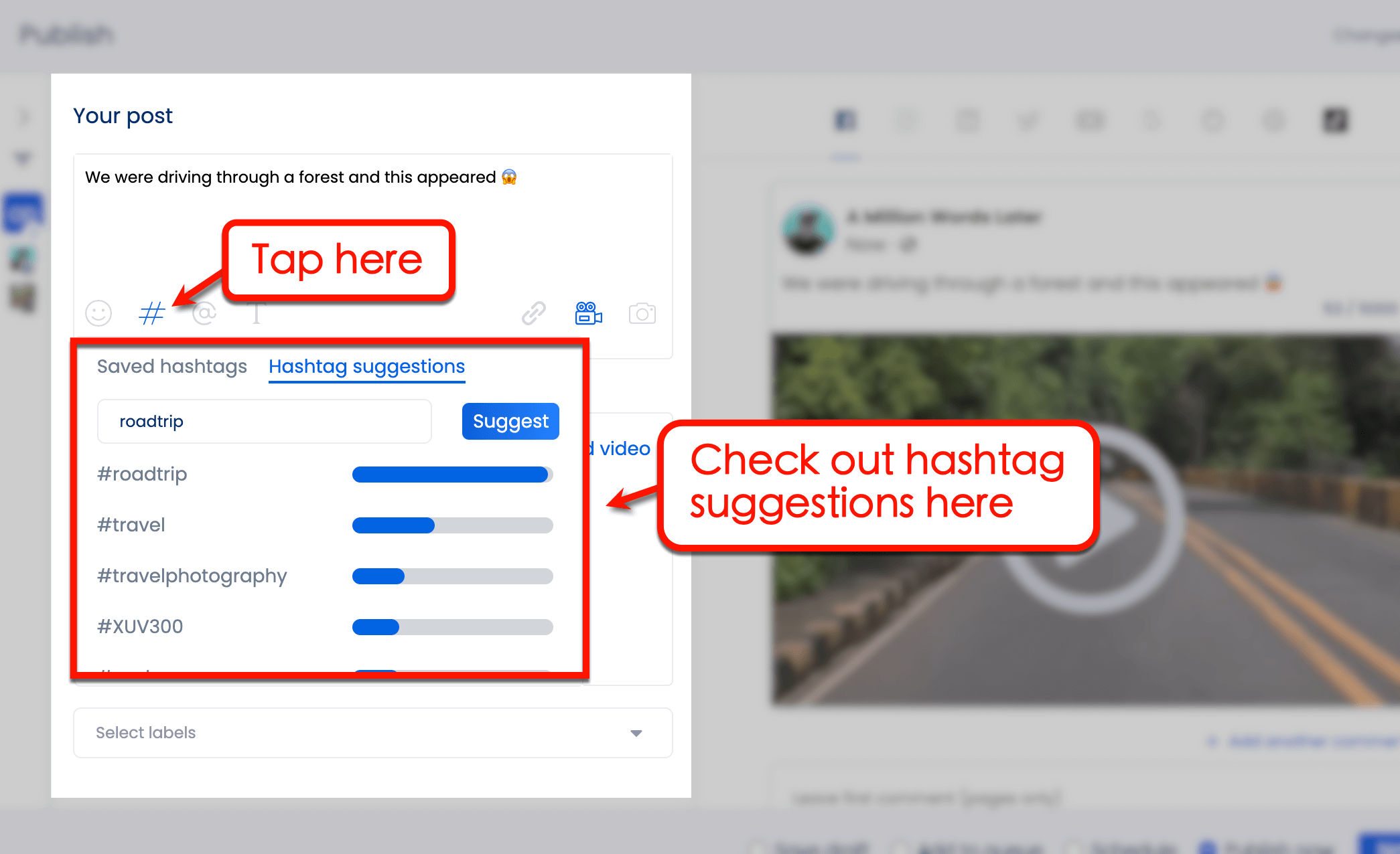 Screenshot of Vista Social's suggested hashtags