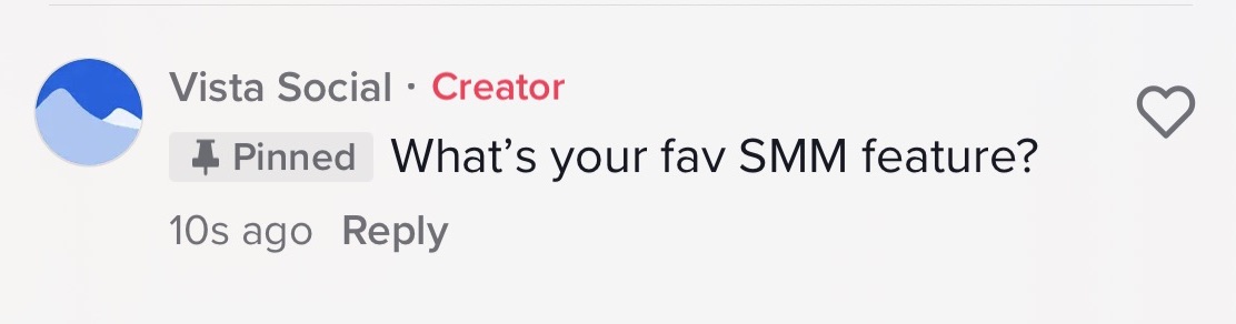 Pin TikTok Comments | Vista Social
