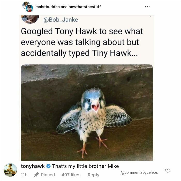 Pinned Comment from Tony Hawk | Vista Social