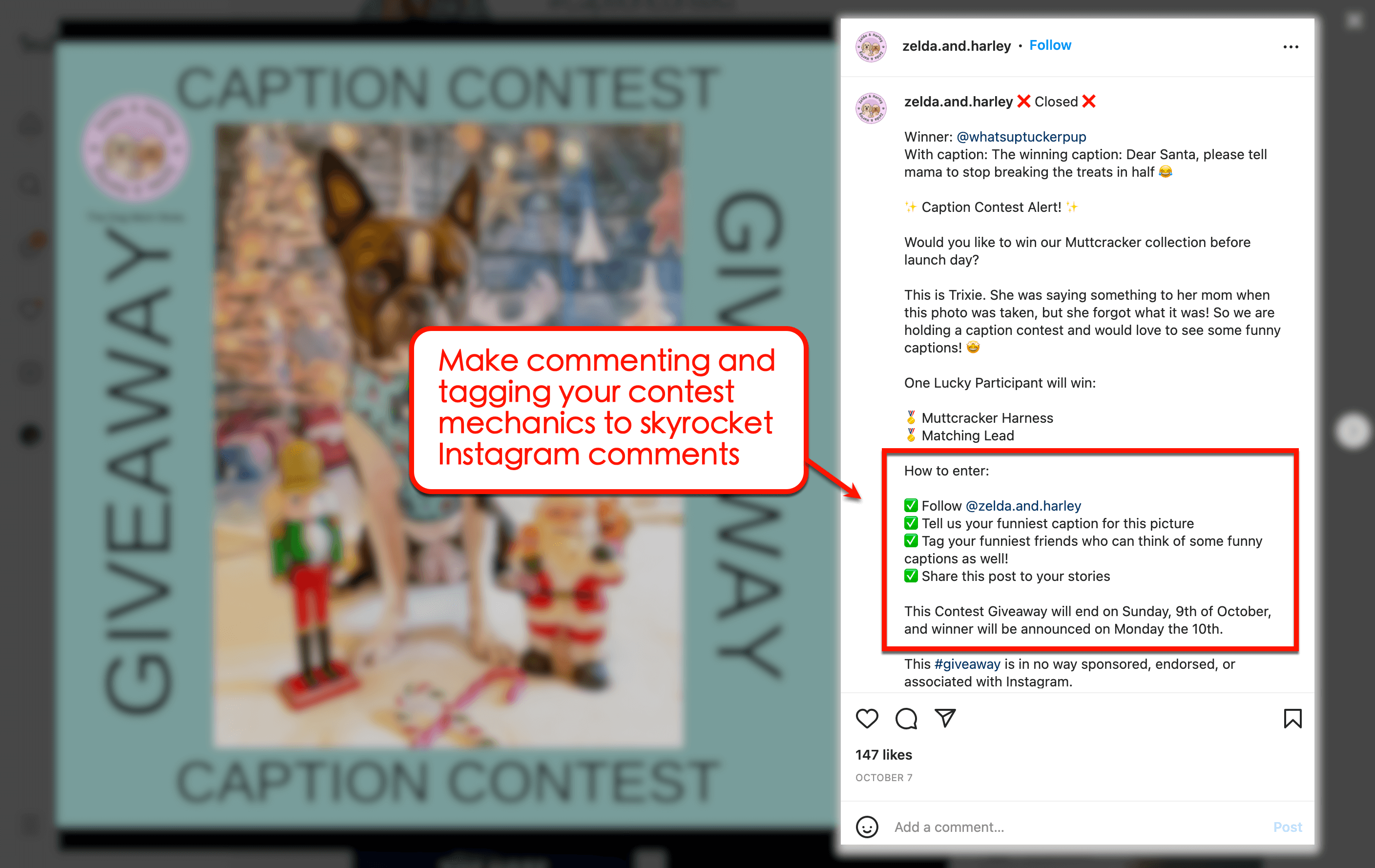 Skyrocket Instagram comments