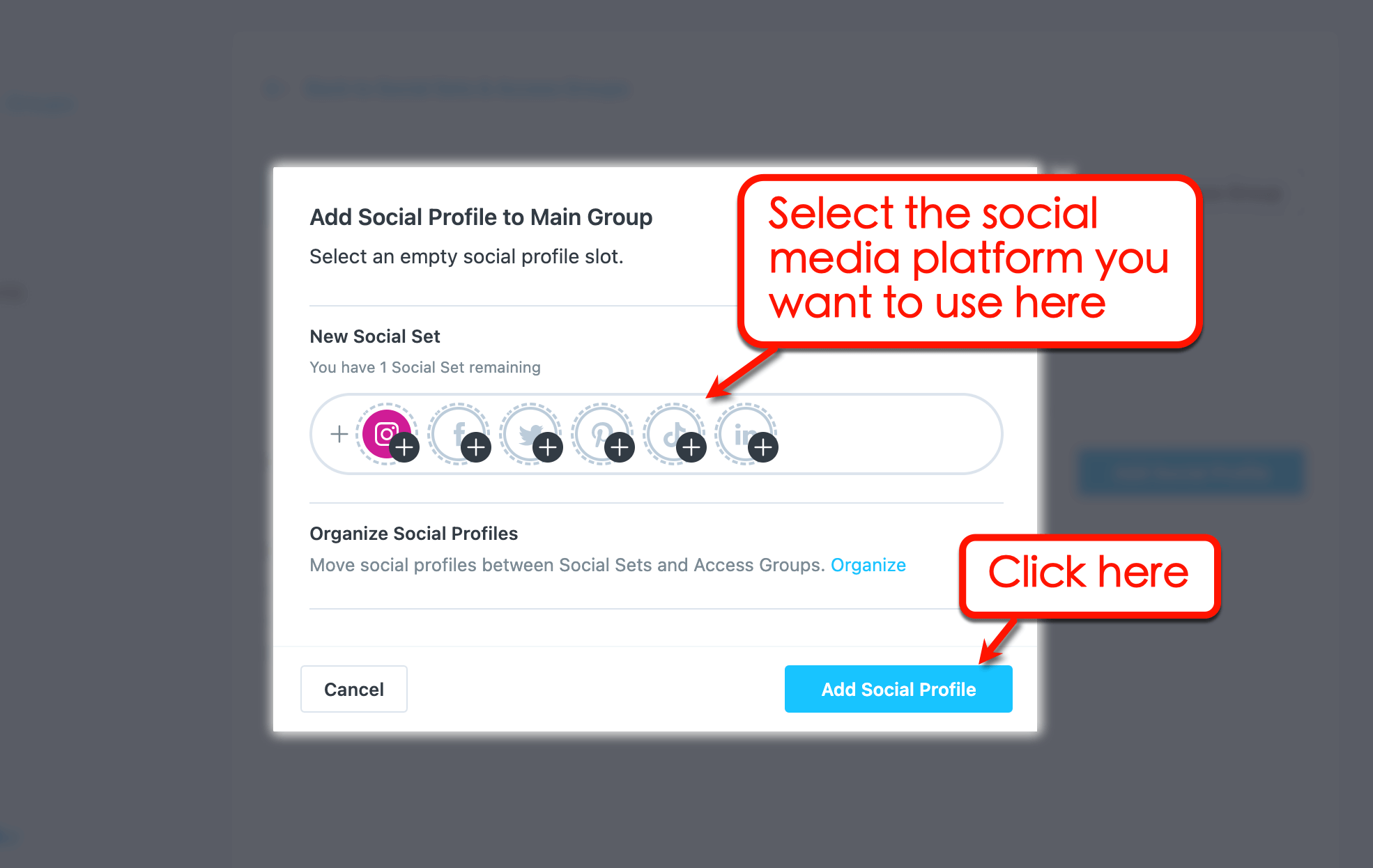 Add social profile in Later