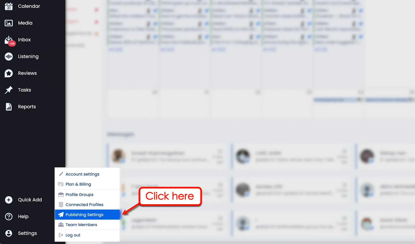 Publishing Settings in Vista Social