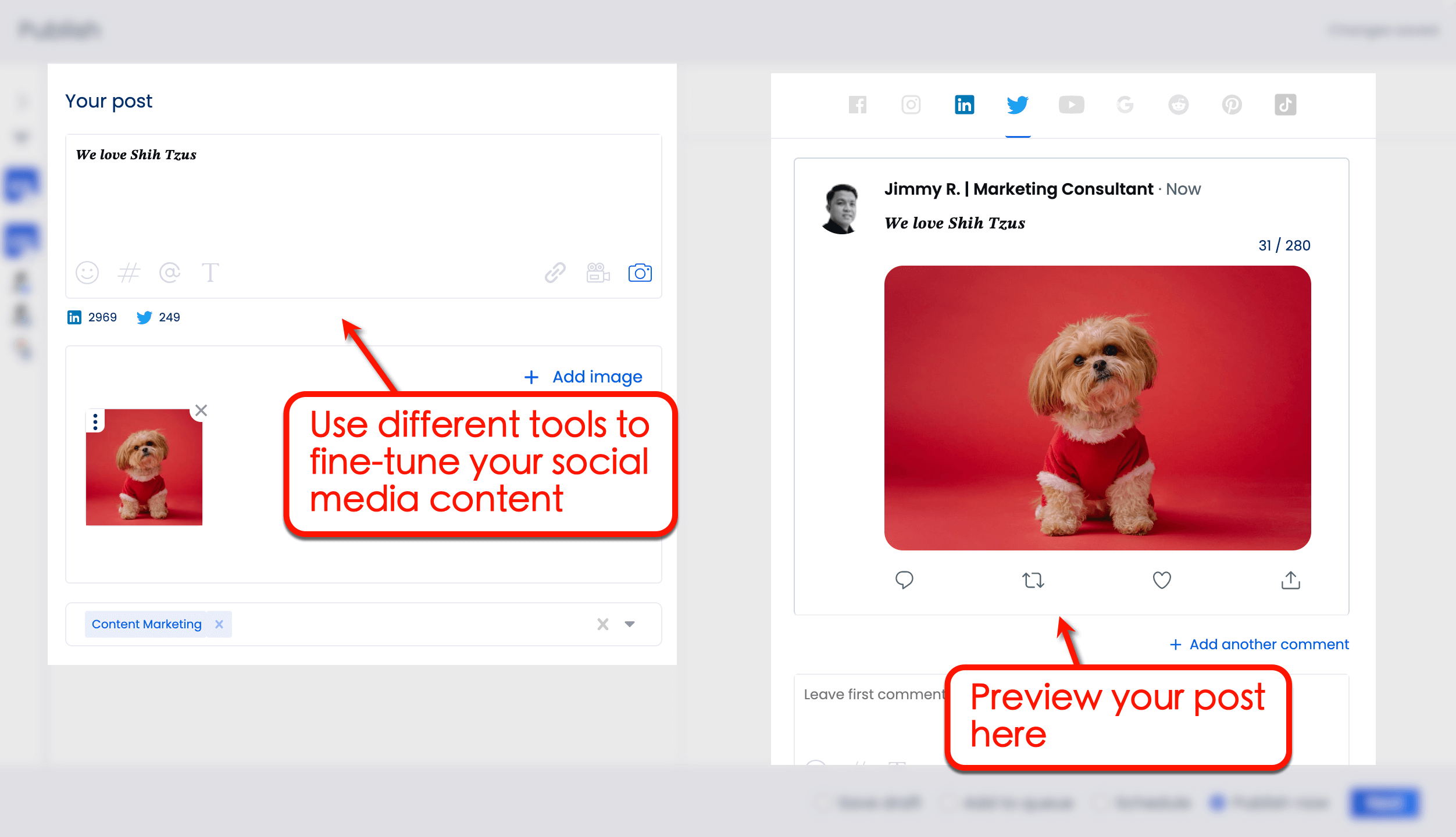 Preview post in Vista Social