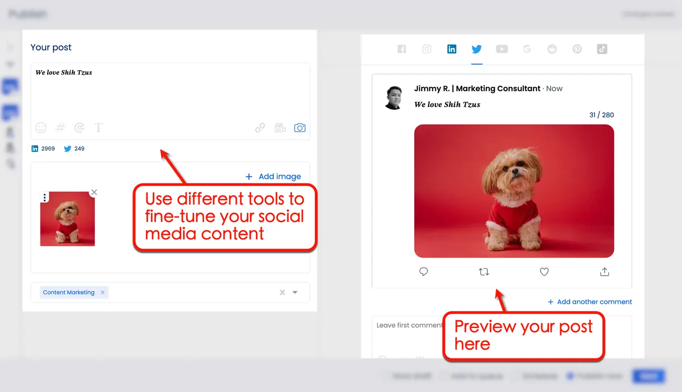 Preview post in Vista Social