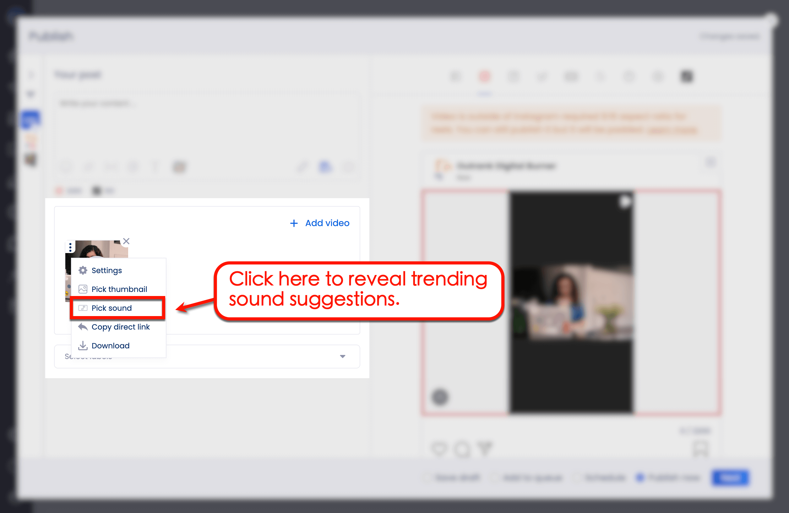 Reveal trending suggestions.