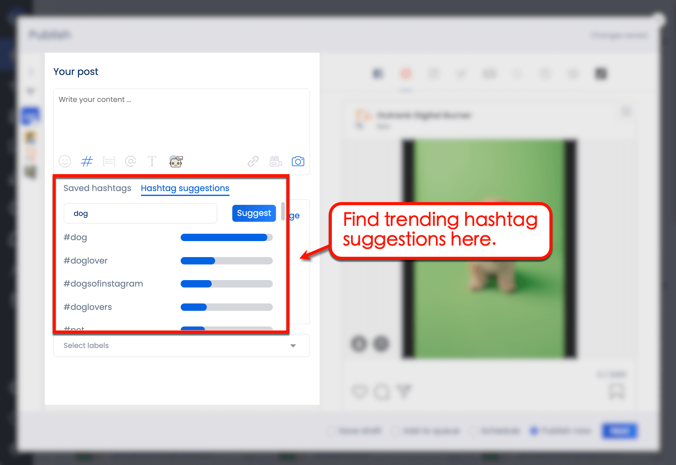 Vista Social will reveal a list of trending hashtags.