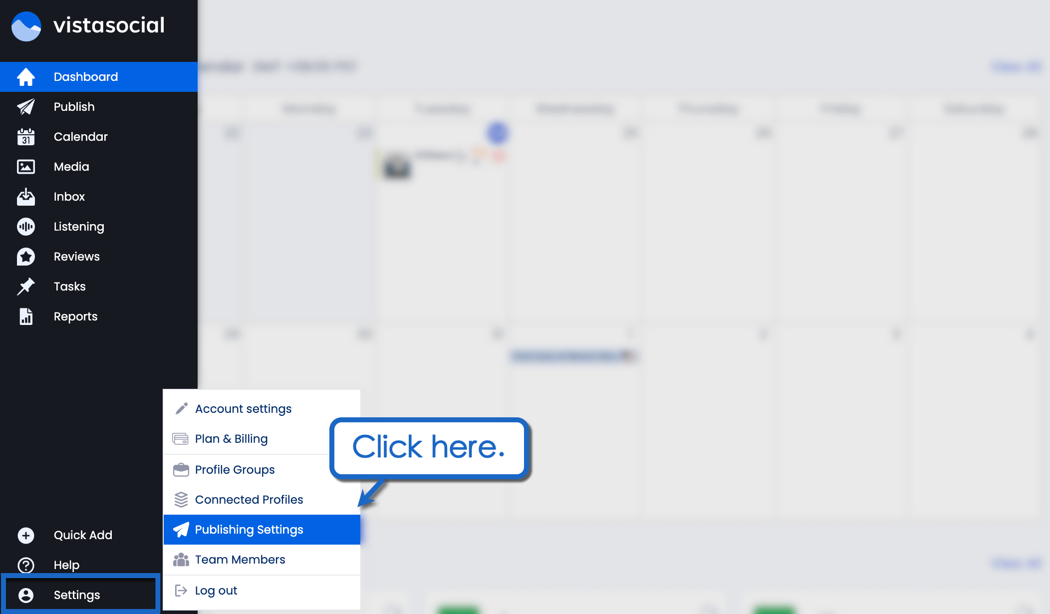 Vista Social's publishing settings.