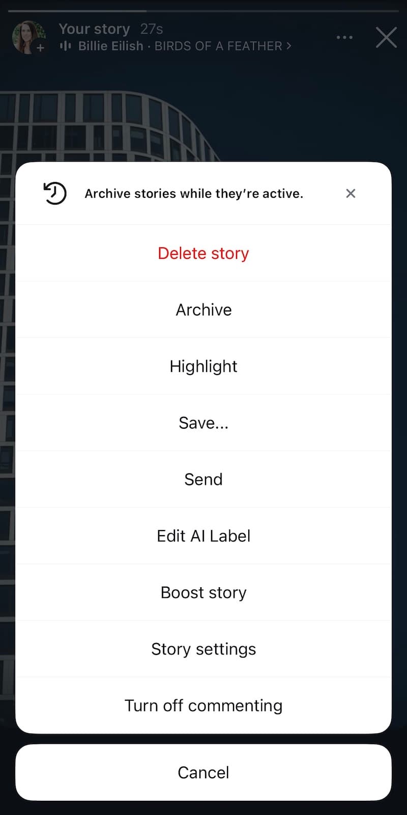 The "More" menu on an Instagram Story.