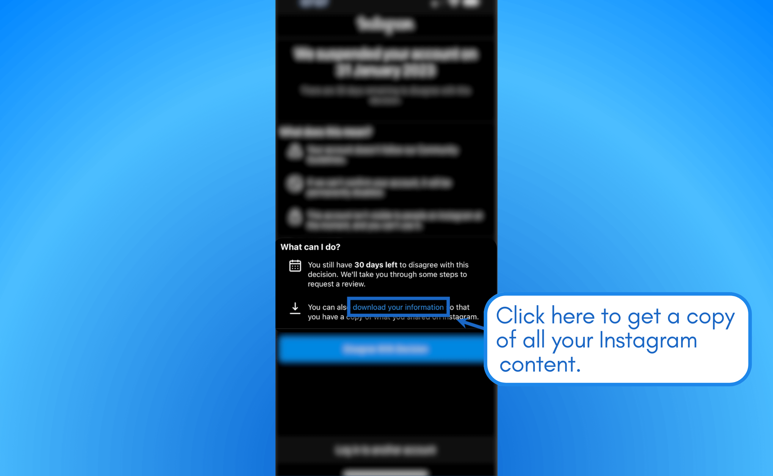 Get a copy of all your Instagram content.