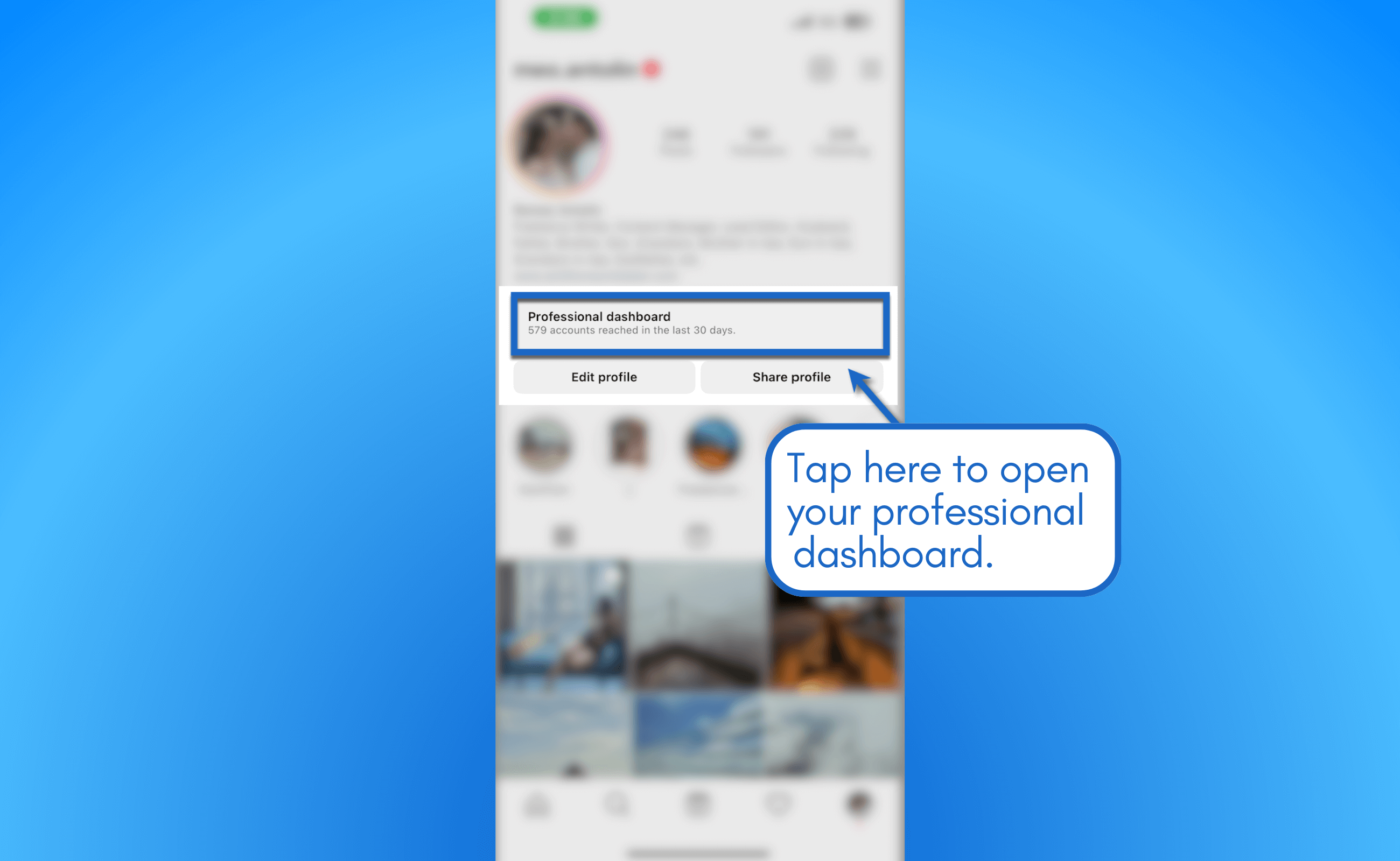 Open professional dashboard.