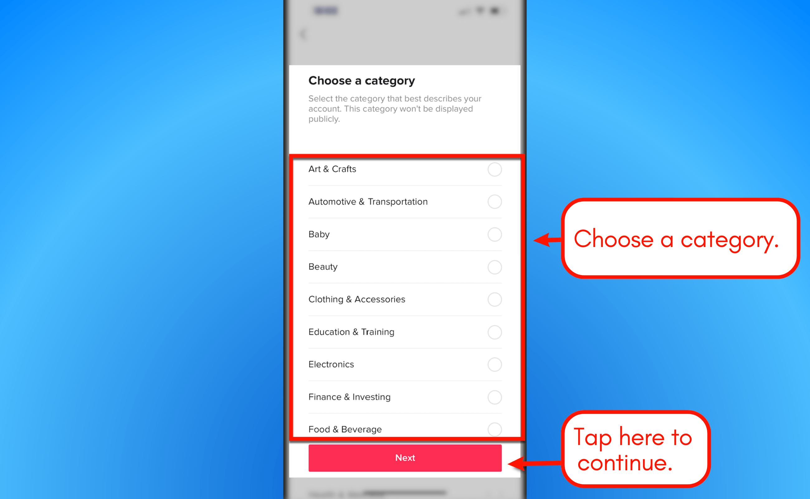 Screenshot of TikTok's categories.