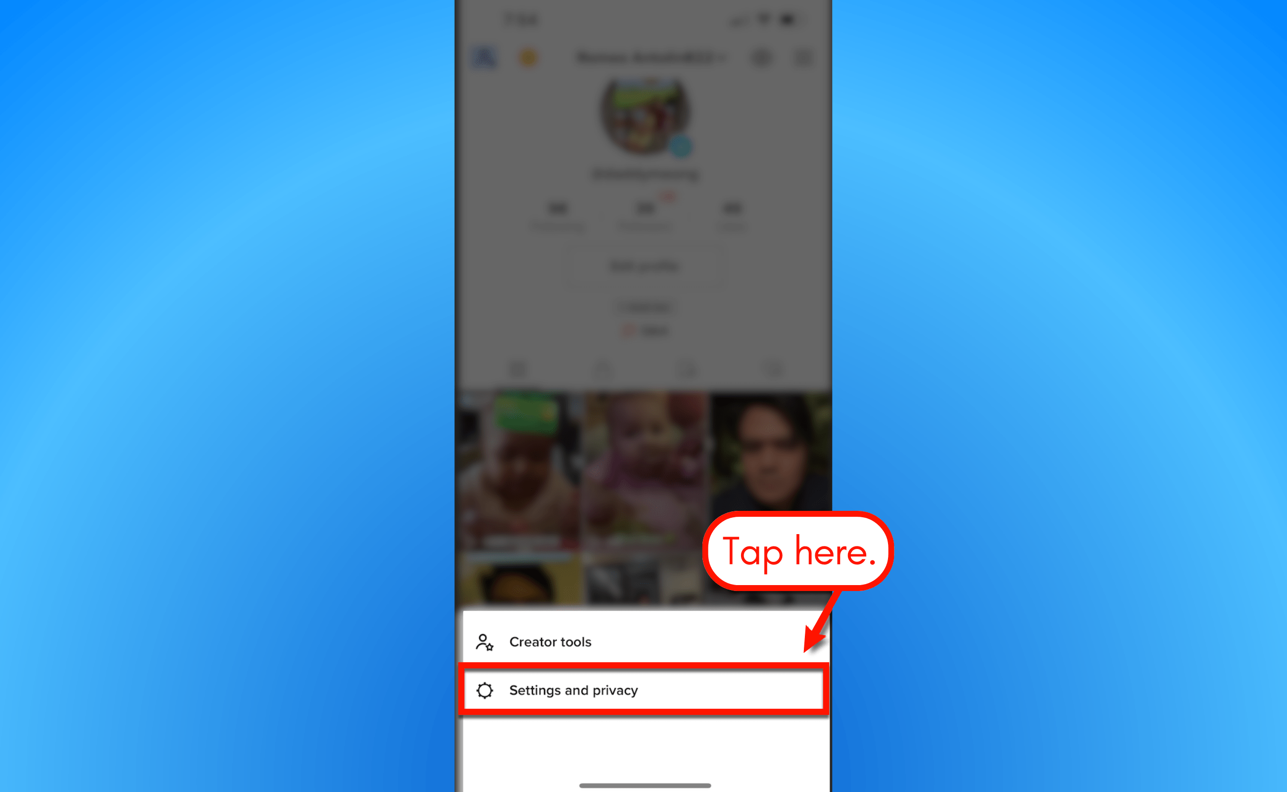 Screenshot of TikTok's settings & privacy.