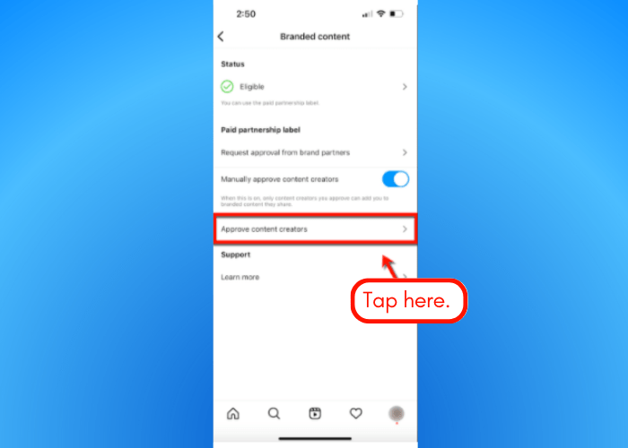 Screenshot of Instagram branded content tools.