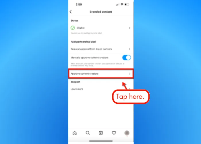 Screenshot of Instagram branded content tools.