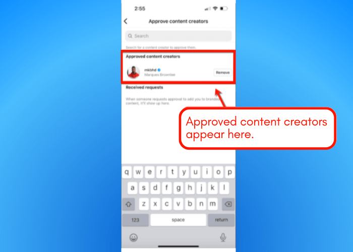 Screenshot of Instagram branded content tools.