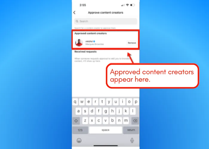 Screenshot of Instagram branded content tools.