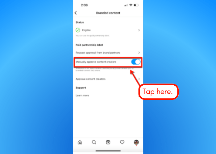 Screenshot of Instagram branded content tools.