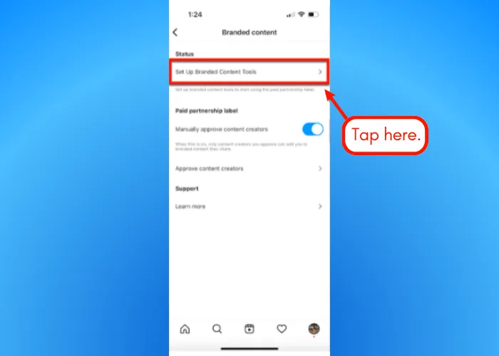 Screenshot of Instagram branded content tools.