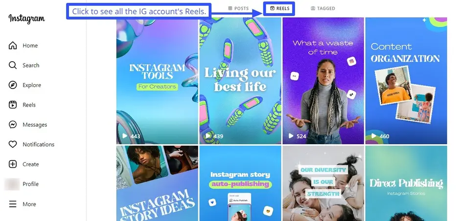 Reels have a dedicated section and appear on other Instagram users’ profiles.