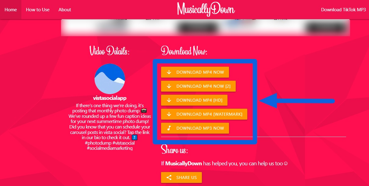 How to Remove TikTok Watermark10