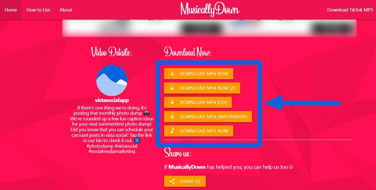 How to Remove TikTok Watermark10